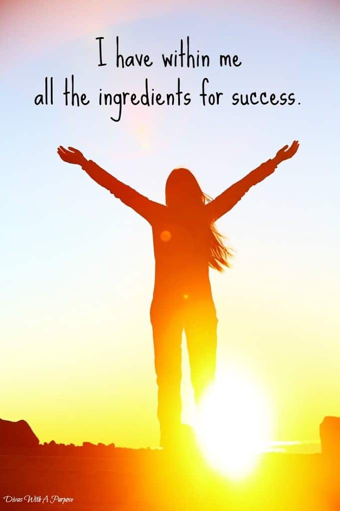 I have within me all the ingredients for success.