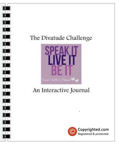 The Divatude Challenge Journal