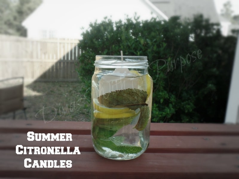 Summer Citronella Candles