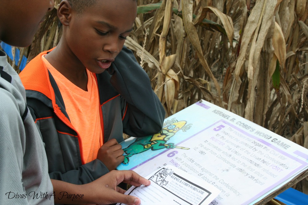 Clinton Sease Farm Corn Maze Experience