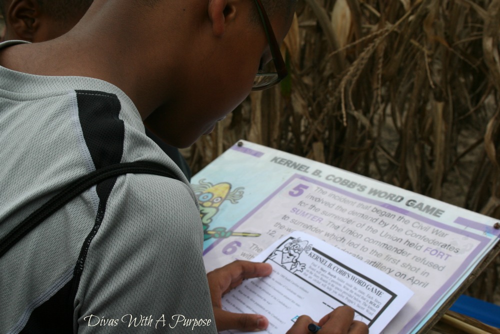 Clinton Sease Farm Corn Maze