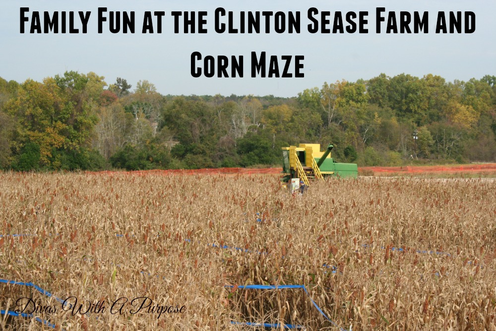 Family Fun at the Clinton Sease Farm and Corn Maze