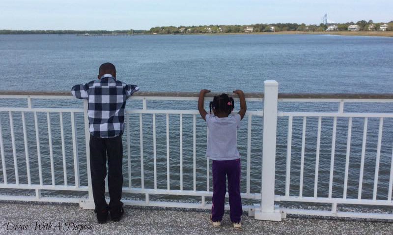 Memorial Waterfront Pier Counting Jellyfish