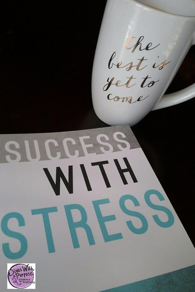 Success With Stress Jae Ellard