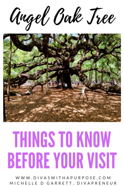 Visiting Charleston, SC? You have to see the 400-year-old Angel Oak Tree. Here is all the information you must know before your visit. #angeloaktree #charlestonsc