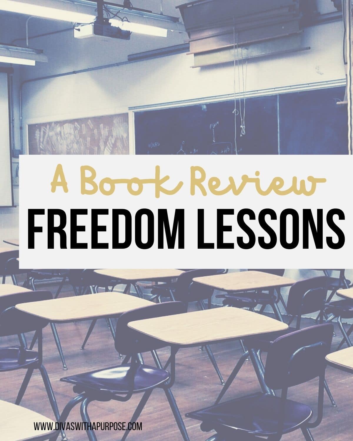 Freedom Lessons by Eileen Sanchez