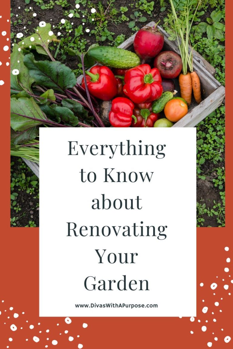 Everything to Know about Renovating Your Garden