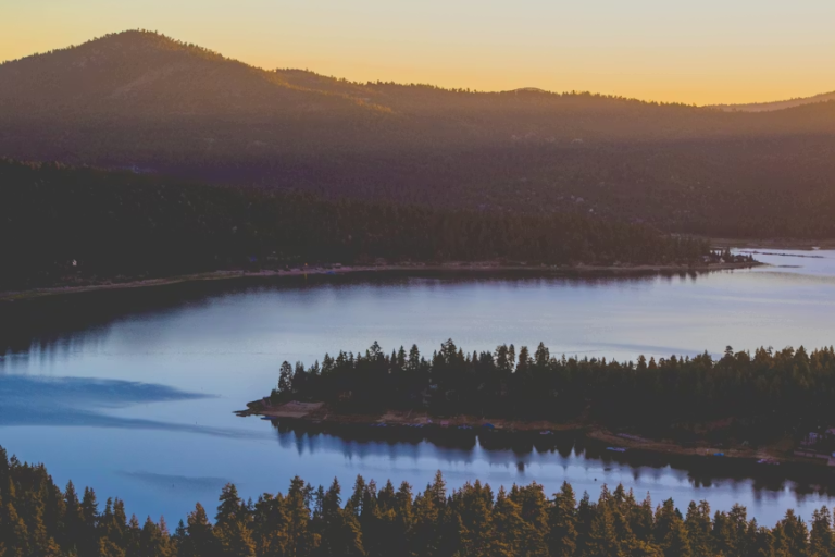 The Best Vacation Rental Management Companies 2026: Review