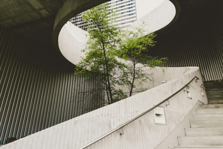 Modern building with a tree growing inside, representing sustainable business ideas and eco-friendly growth