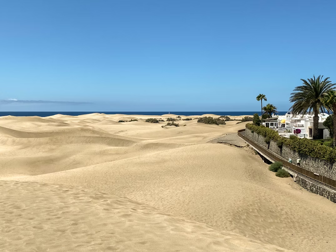 Sand dunes overlooking the ocean with nearby beachfront homes and palm trees