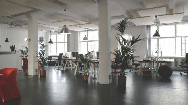 Bright modern commercial office space with desks, plants, and open layout for business operations