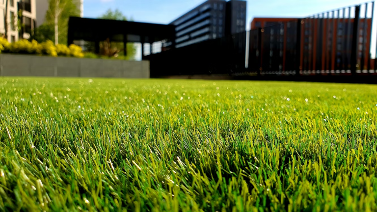 close up of healthy green grass showing lawn growth tips in action
