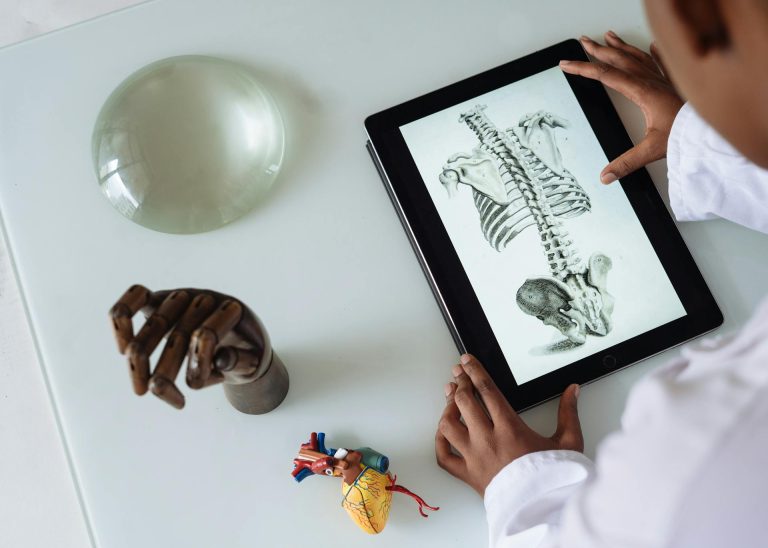 Medical professional reviewing human skeleton anatomy on a tablet during structural body analysis