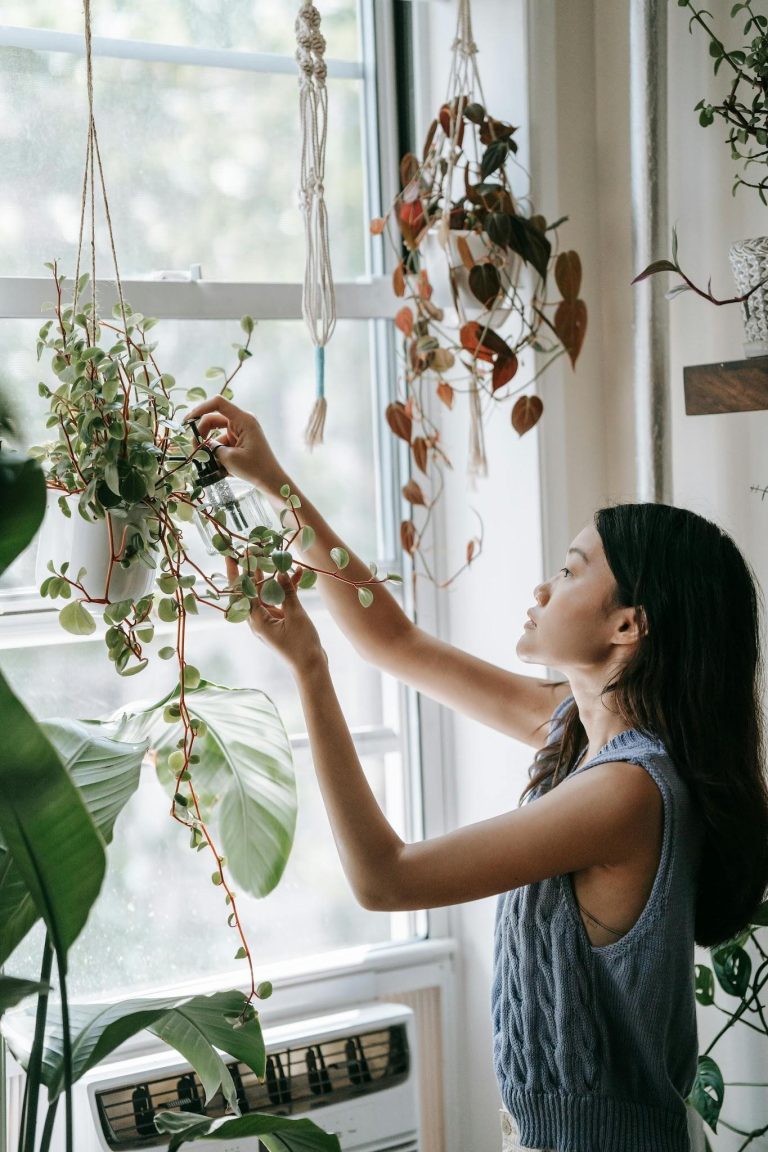 Woman caring for hanging indoor plants near a window to improve home air quality and create a healthier living space.