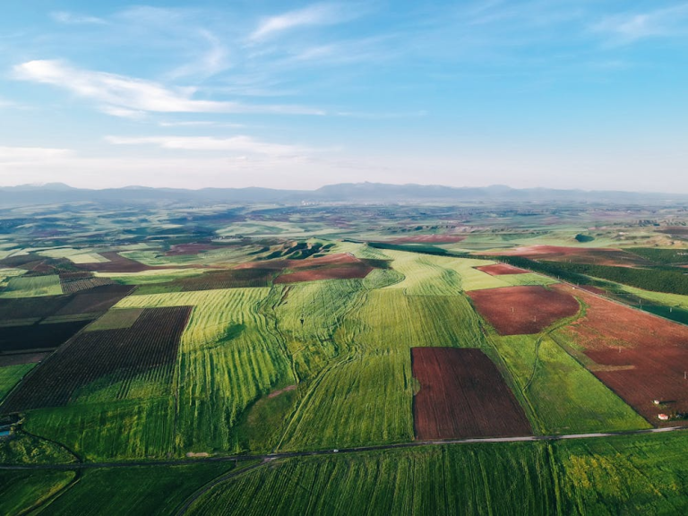 Aerial view of farmland and open fields showing rural land and agricultural property