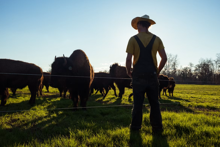 Landowner monitoring livestock on a rural property, highlighting efficient land management and property maintenance strategies