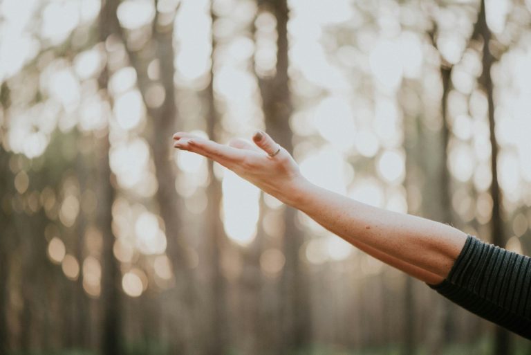 Outstretched hand reaching toward sunlight in a peaceful forest setting, symbolizing personal wellness and mindful living