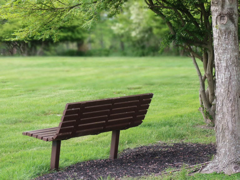Well-maintained lawn with a shaded bench and mature trees creating an inviting outdoor space at a rental property.