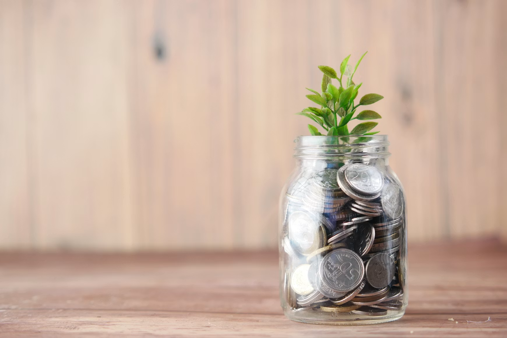 Glass jar filled with coins and a small green plant, symbolizing wealth building, investing, and long-term financial growth.