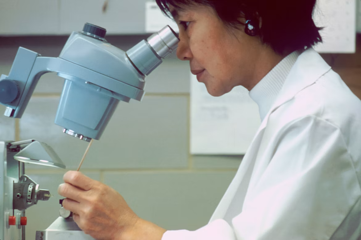 Research scientist using a microscope to examine laboratory samples during healthcare research and quality control testing.