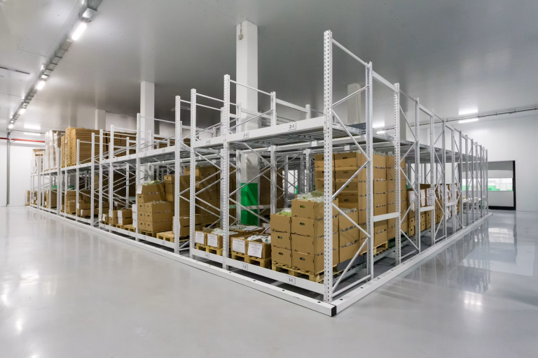 Clean warehouse with organized metal storage racks holding stacked boxes and palletized inventory.