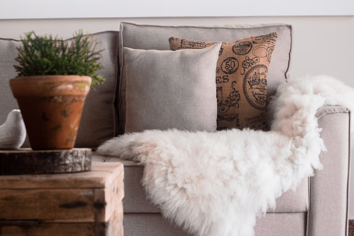 Neutral sofa with layered pillows, a white throw, and a potted plant on a wooden table